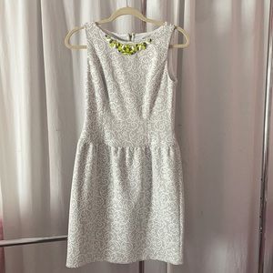 Ivy & Blu Gray and White Lace Dress